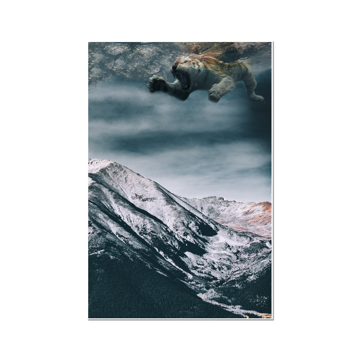 04 - Surreal dreamy poster of the swimming tiger in the sky over the mountain Color C-Type Print Pimamour Original Pimamour